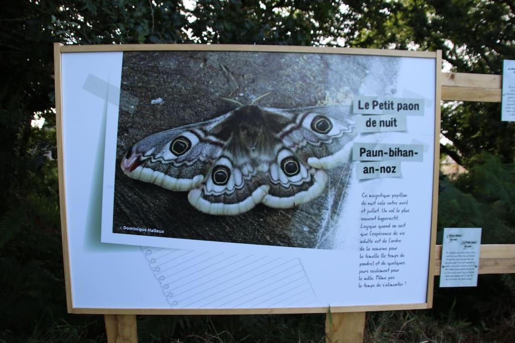 La Petite Bretonne Villa Plounerin Luaran gambar