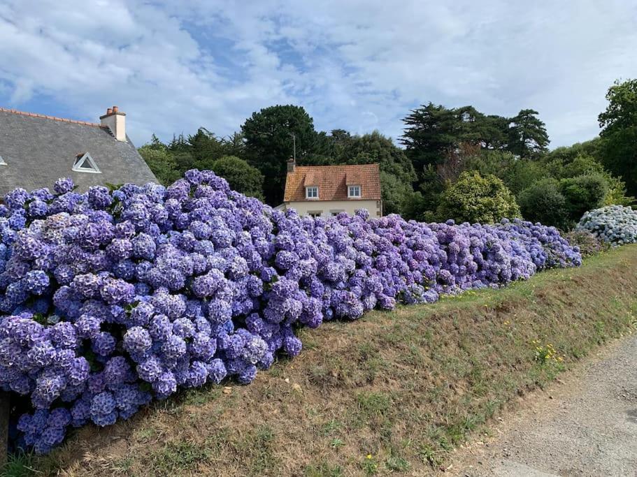 La Petite Bretonne Villa Plounerin Luaran gambar