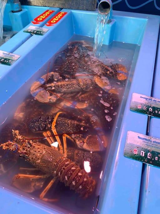La Petite Bretonne Villa Plounerin Luaran gambar